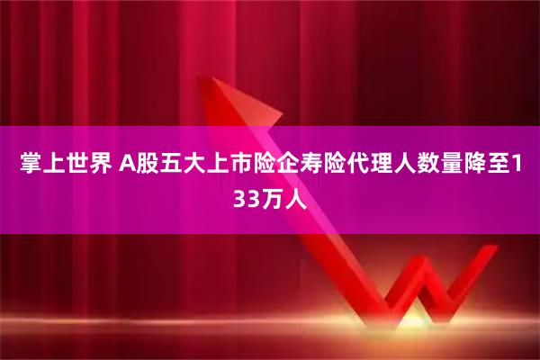 掌上世界 A股五大上市险企寿险代理人数量降至133万人
